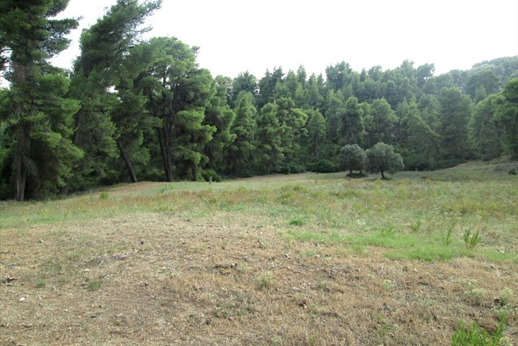 Realty photo 2