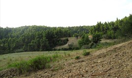 Land 30000 m² auf Kassandra (Chalkidiki)