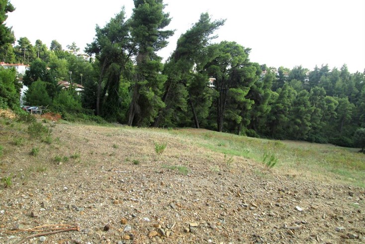 Realty photo 3
