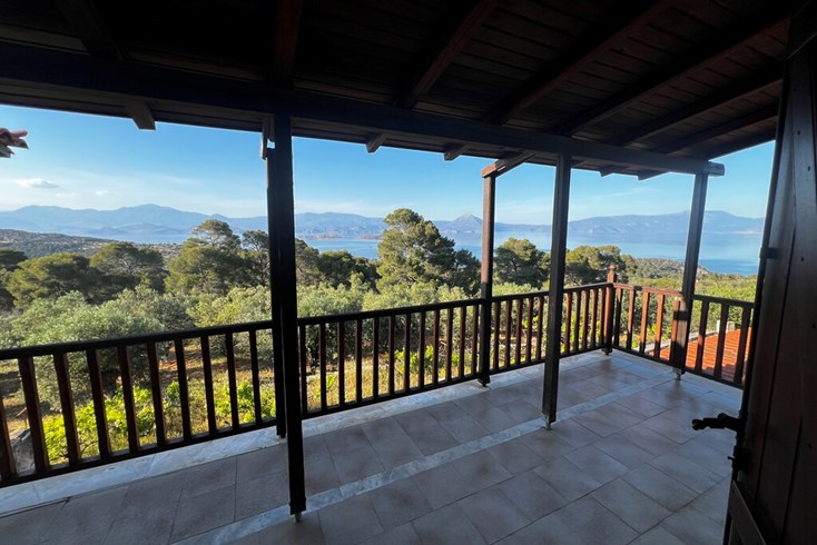 Realty photo 1