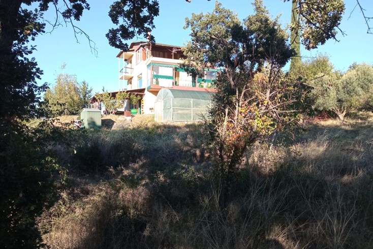 Realty photo 2