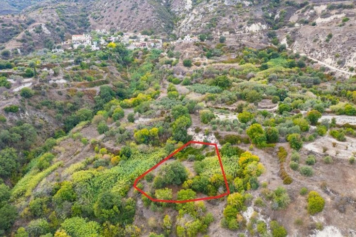 Realty photo 3