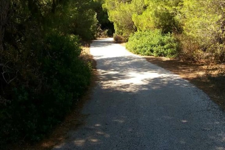 Realty photo 3