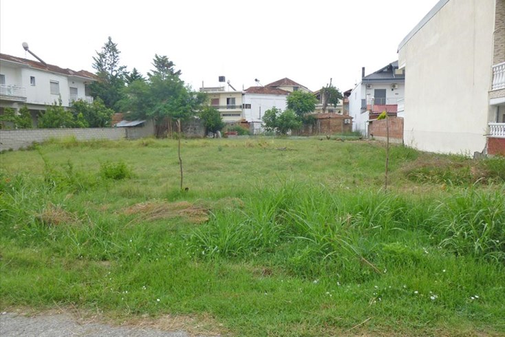 Realty photo 2