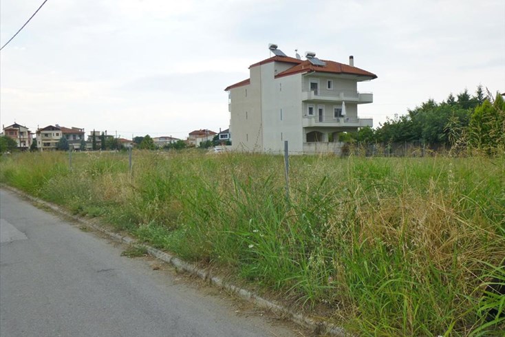 Realty photo 1