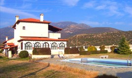 Villa 805 m² in Chalkidiki