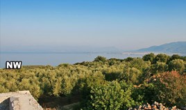 Arsa 4000 m² Batı Peloponez’te