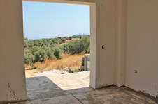 Property 6512 photo 6