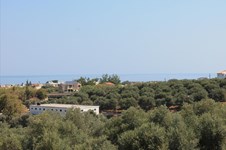 Property 6512 photo 10