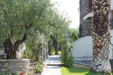 Property 6587 photo 4