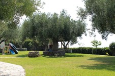 Property 6587 photo 5