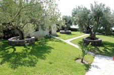 Property 6587 photo 8