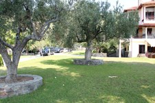 Property 6587 photo 17