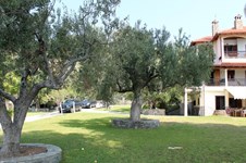 Property 6587 photo 19