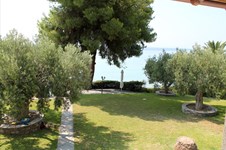 Property 6587 photo 27