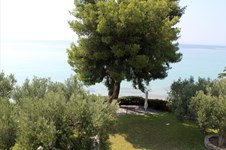 Property 6587 photo 30