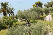 Property 6587 photo 35