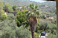 Property 6587 photo 36