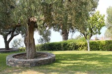 Property 6587 photo 38