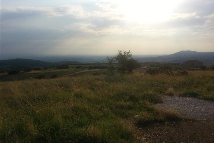 Realty photo 1