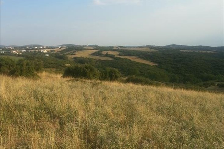 Realty photo 3