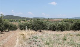 Zemljište 6915 m² na Sitoniji (Halkidiki)