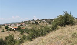 Arsa 8000 m² Sithonia’da (Chalkidiki)