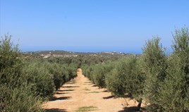 Парцел 10500 m² на Крит