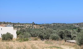 Land 1580 m² auf Kreta