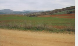 Land 20000 m² in Chalkidiki
