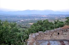 Property 6691 photo 2