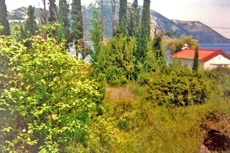 Realty photo 3