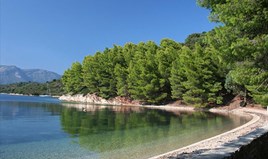Land 12000 m² in Ionian Islands