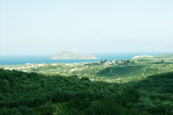 Realty photo 1