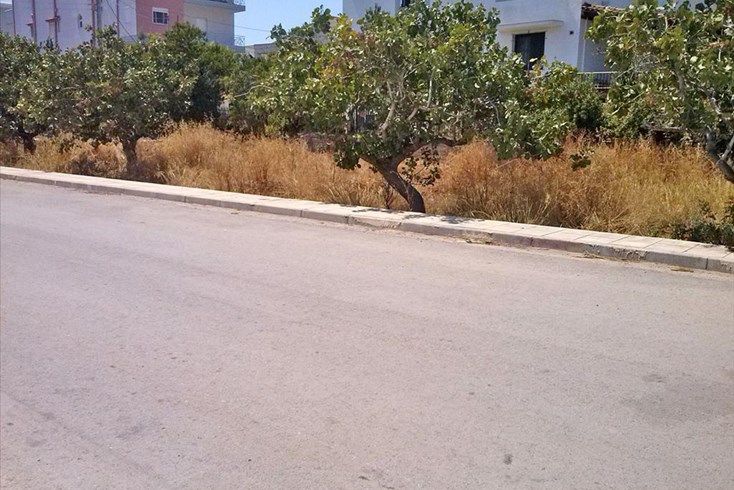 Realty photo 2