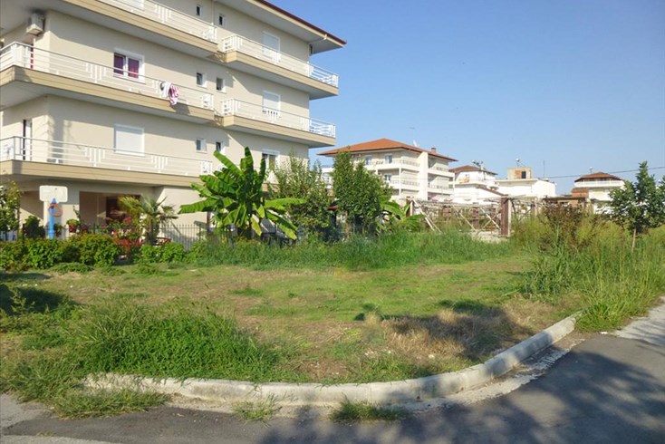 Realty photo 3