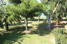 Property 6785 photo 18