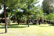 Property 6785 photo 6