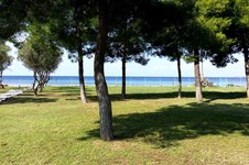 Property 6785 photo 2