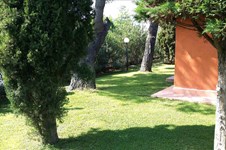 Property 6785 photo 17