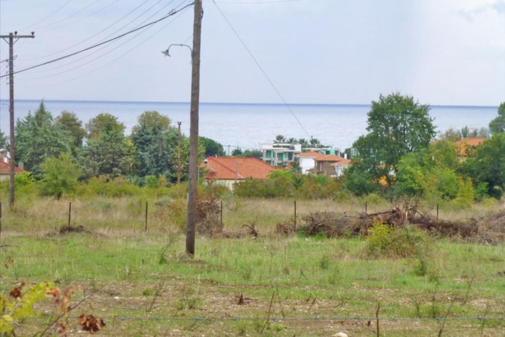 Realty photo 2
