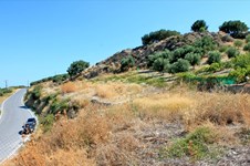 Property 6833 photo 2