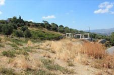 Property 6833 photo 3