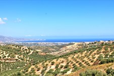 Property 6834 photo 4