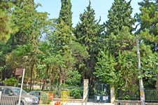 Property 6858 photo 8