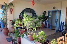 Property 6873 photo 3