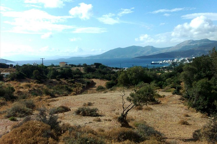 Realty photo 1