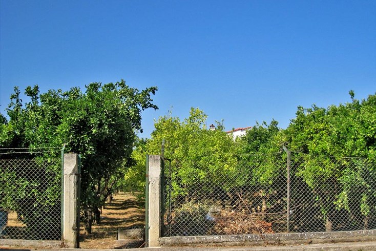 Realty photo 2