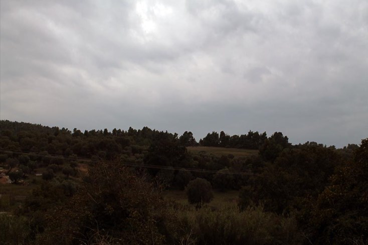 Realty photo 3