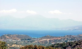 Парцел 9718 m² на Крит